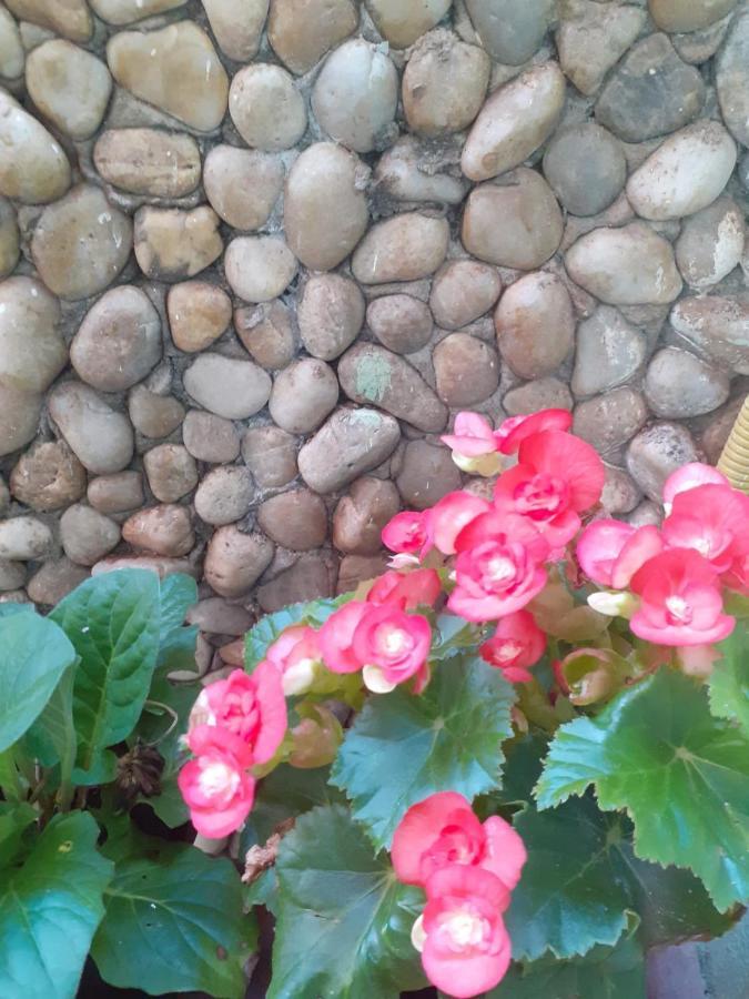 Pousada Recanto Das Flores Moitas Eksteriør bilde